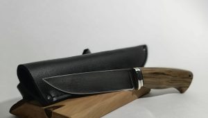 Главная Главная